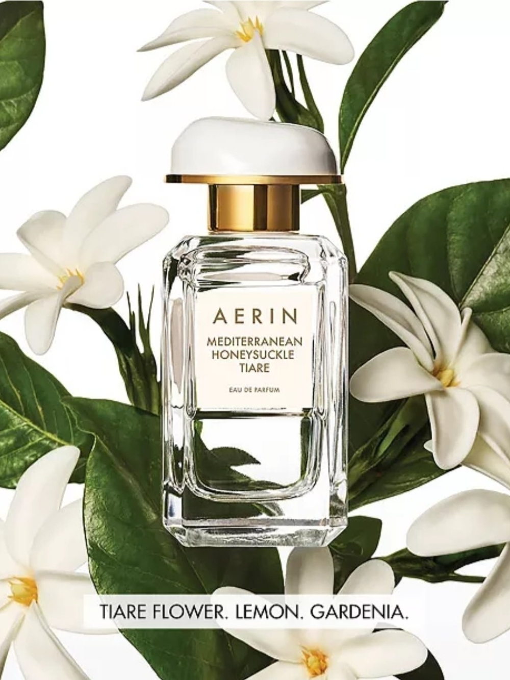 Mediterranean Honeysuckle Tiare, 1.7 oz. AERIN